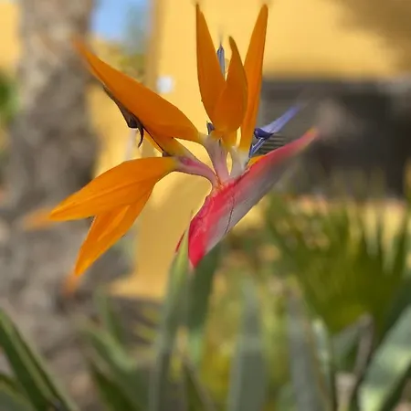 Fuerteventura Corralejo
