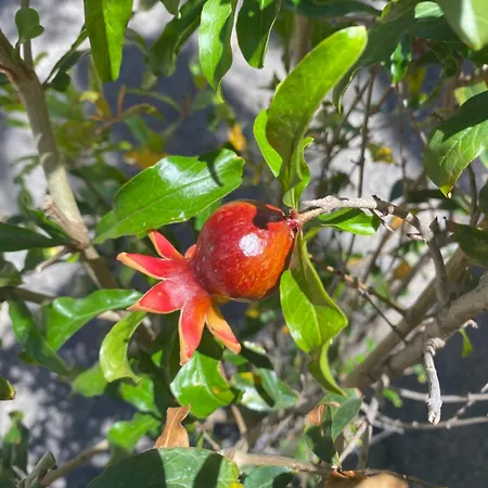 Fuerteventura Apartament Corralejo